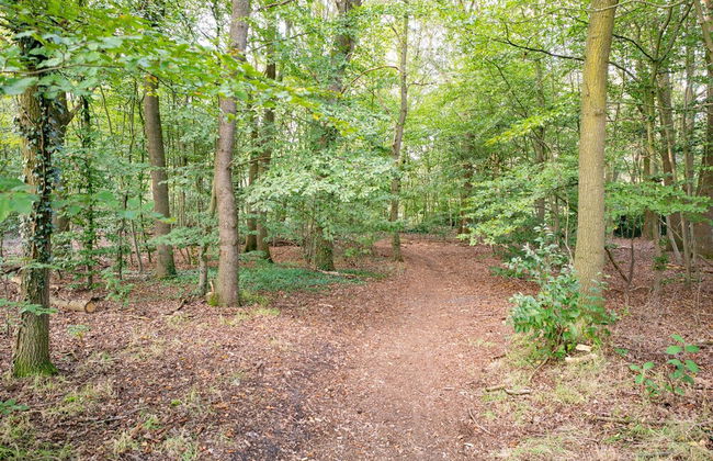 Peaceful Nature Escape in Meijel - Foto 61