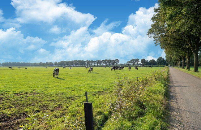 Peaceful Nature Escape in Meijel - Foto 62