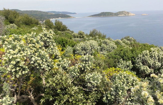 Holiday Home Parc Eugenie - Foto 14