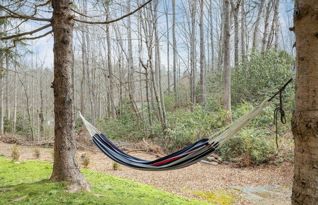 Bears Place by Avantstay Cozy Mountain Cabin in Brevard + Firepit - Foto 8