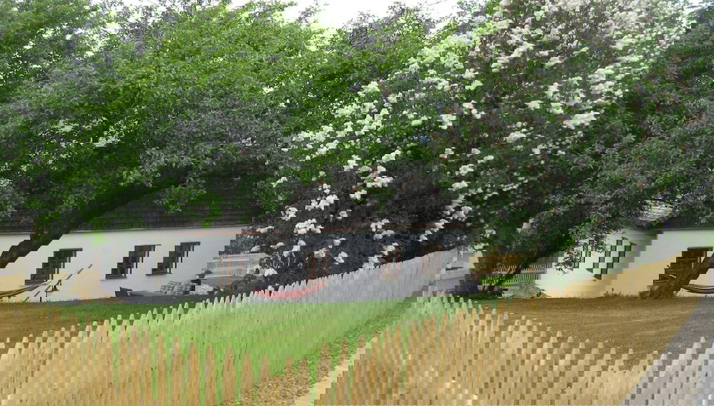 Imagem principal