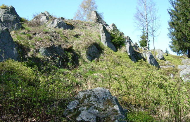 Sunny Holiday Home Near the Forest - Foto 36