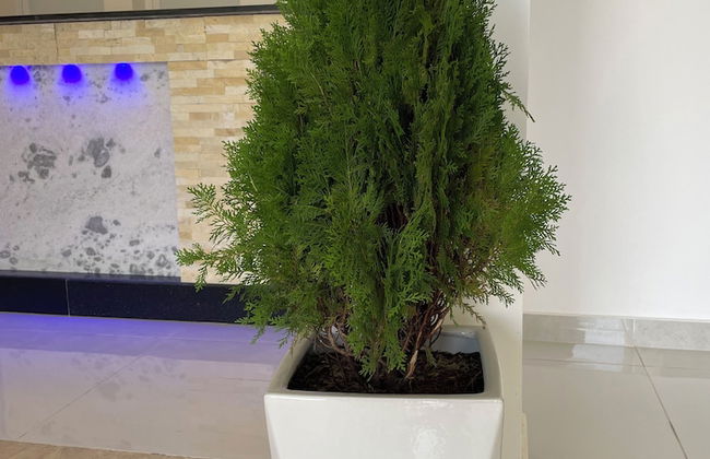 Season Inn Hotel Apartment by Duqm - Foto 6