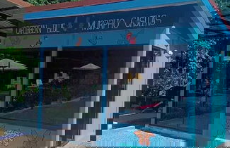 Foto 2 - Caribbean Blue Morpho