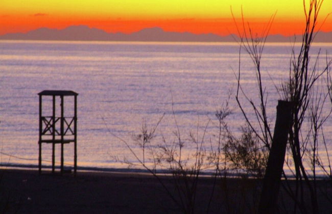 Haven Near Tuscan Beaches - Foto 40
