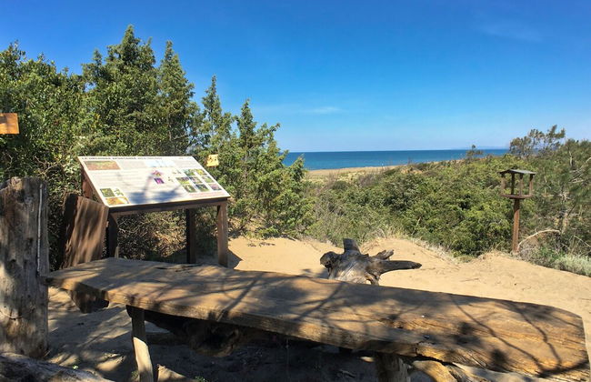 Holiday Home in Sassetta Near Beaches - Foto 19