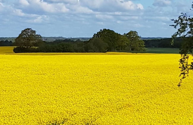 Holiday Home Amelie Comfortable Vacation Home - Photo 34