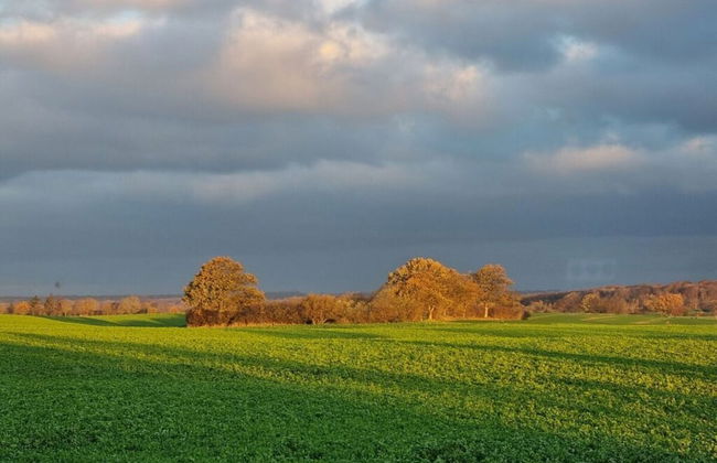 Holiday Home Amelie Comfortable Vacation Home - Photo 22