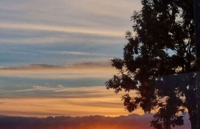 Holiday Home Amelie Comfortable Vacation Home - Photo 23