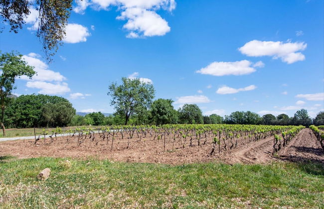 Beautiful Holiday Home With Swimming Pool - Foto 32