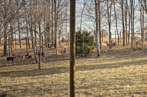 Photo 20 - 'walhonding Woods' Secluded Farmland Retreat