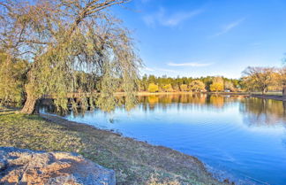 Foto 1 - Arizona Getaway w/ Fire Pit, BBQ & On-site Lake