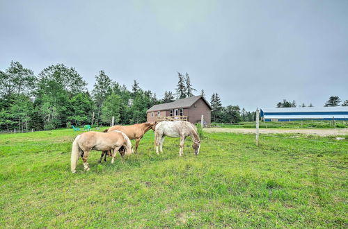 Photo 25 - Historic Cottage on Horse Farm: Firepit & BBQ