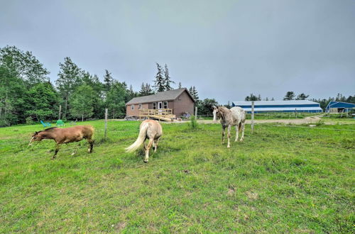 Photo 4 - Historic Cottage on Horse Farm: Firepit & BBQ