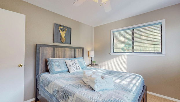 Servizio della struttura