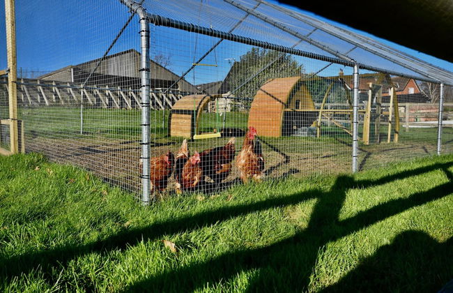 The Cote Little Upton Farm - Foto 17