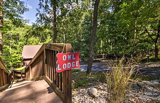 Foto 3 - Cozy 'owl Lodge' Cabin - Relax or Get Adventurous