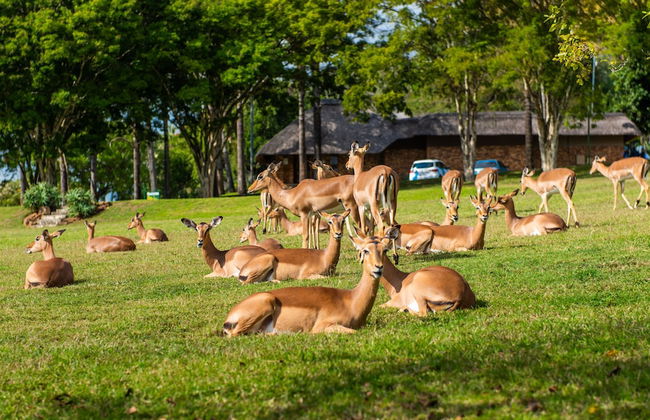 Kruger Park Lodge Unit No. 441 - Foto 38