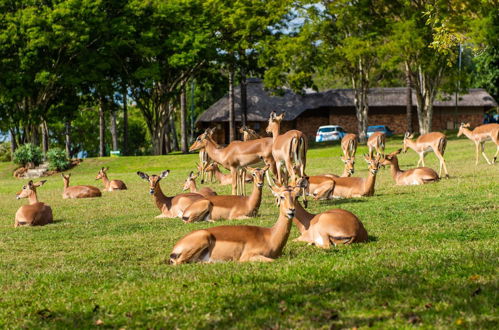 Photo 38 - Kruger Park Lodge Unit No. 441