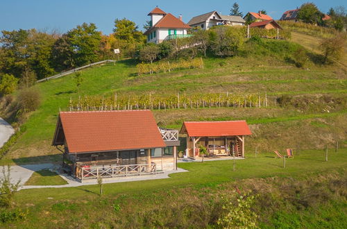 Photo 16 - Vineyard Cottage Grajska Kašča