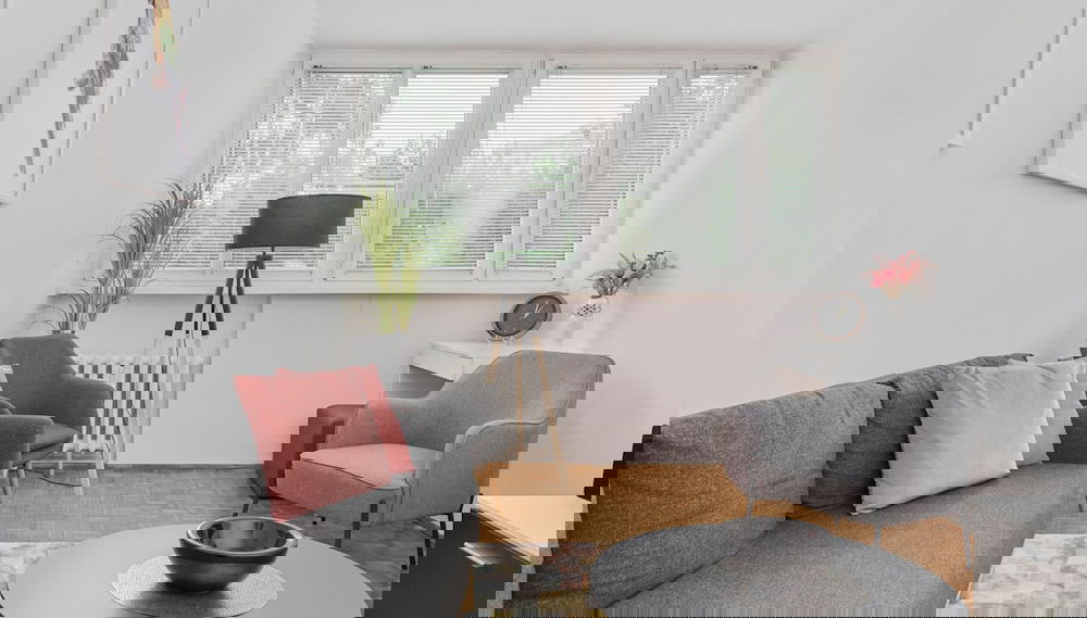 Imagem principal