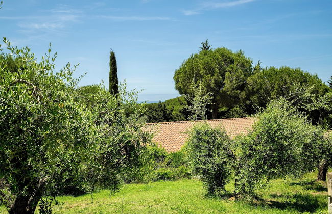 Residence con piscina a Guardistallo - Photo 61