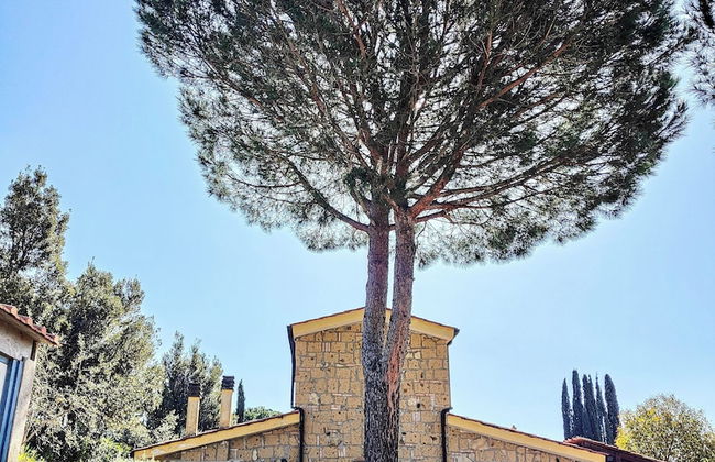 Residence con piscina a Guardistallo - Photo 56
