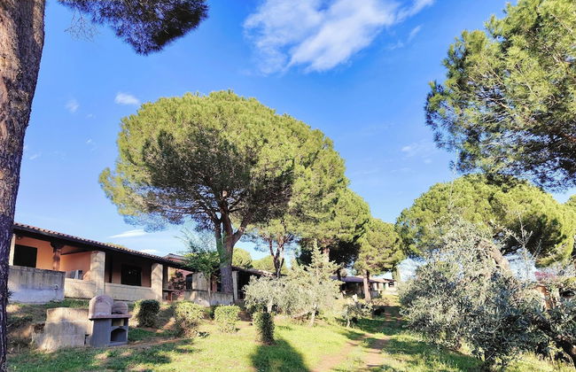 Residence con piscina a Guardistallo - Photo 58