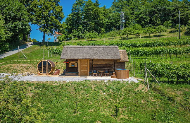 Vineyard Cottage Paradiz - Foto 17