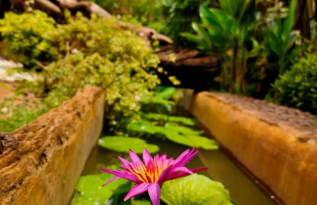 Flora Land Resort Chiang Mai - Photo 36