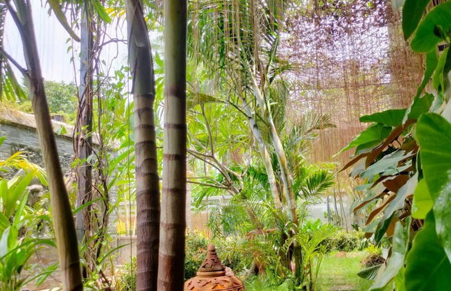 Flora Land Resort Chiang Mai - Photo 43