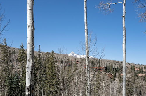 Photo 24 - Aspen Ridge 2 3 Bedroom Townhouse by Alpine Lodging Telluride