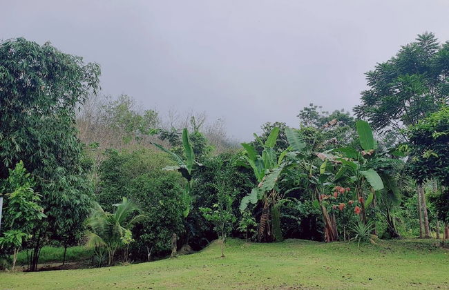 Baansuan Suksangob Farm Stay - Foto 23