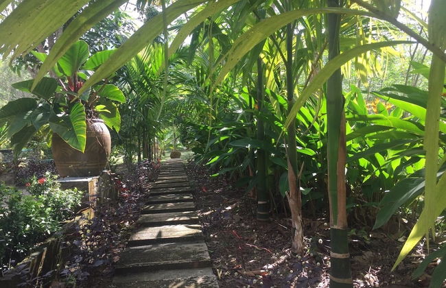 Baansuan Suksangob Farm Stay - Foto 43