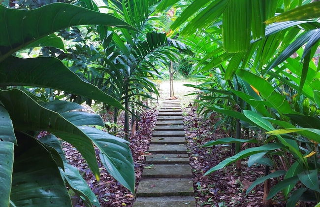 Baansuan Suksangob Farm Stay - Foto 55