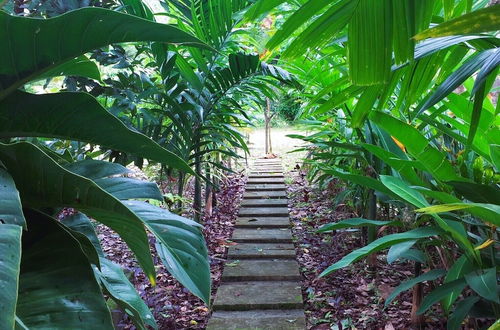 Photo 55 - Baansuan Suksangob Farm Stay