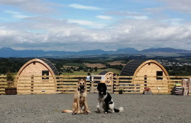 The Arns Glamping Pods - Foto 11