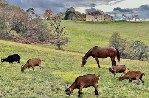 Foto 48 - Domaine de Cazal