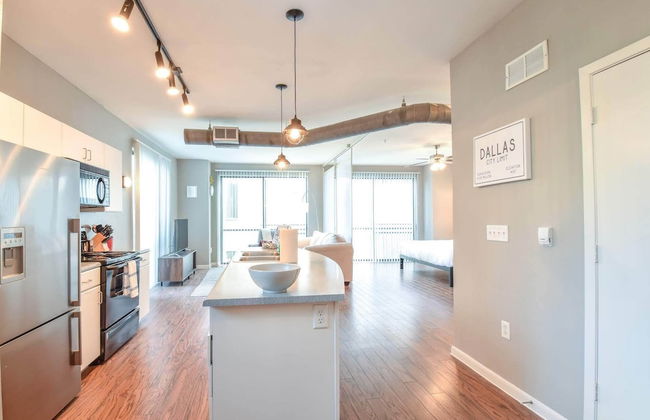 Plano Beautiful Studio Apartment - Photo 11