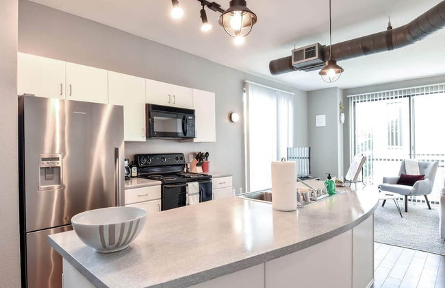 Plano Beautiful Studio Apartment - Photo 10