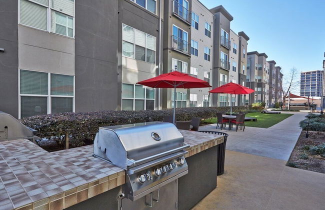 Dallas Beautiful 1BD 1BA Downtown Apartment - Foto 21