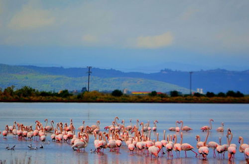 Photo 5 - Messolongi Lagoon Paradise - A Luxurious Retreat