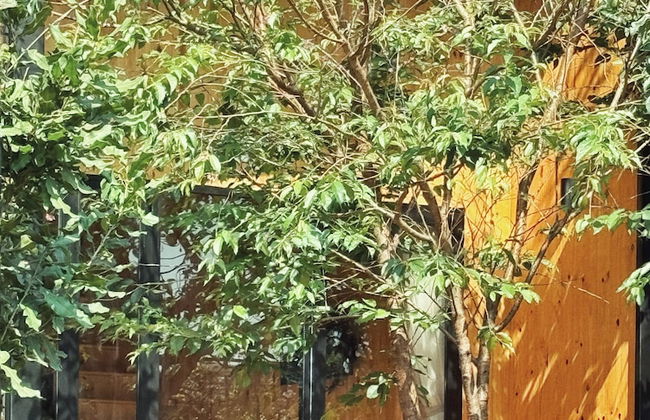 XOM Organic Farm Stay - Foto 36