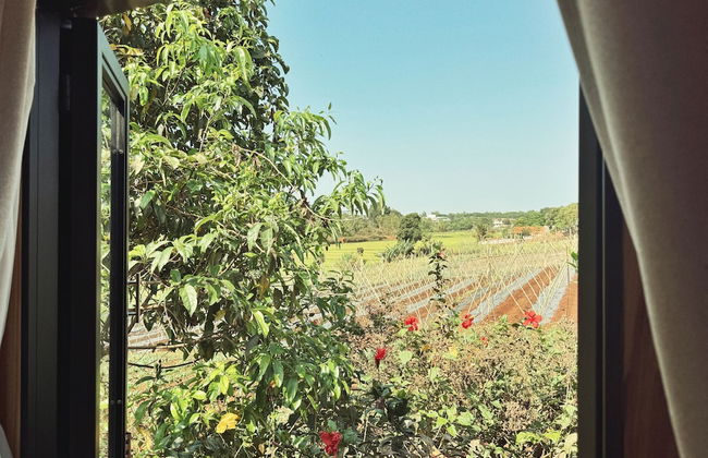 XOM Organic Farm Stay - Foto 37