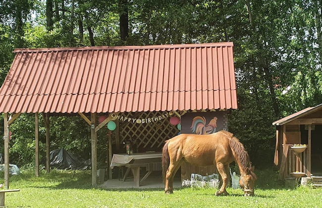 agroturystyka Kurnik Polski - Foto 19
