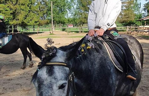 agroturystyka Kurnik Polski - Foto 12