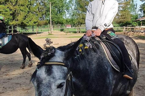 Foto 12 - agroturystyka Kurnik Polski