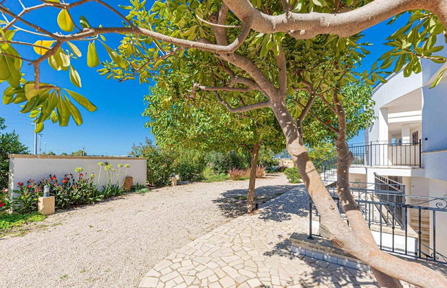 Residenza Arcangela - 4 Alloggi con 2 Piscine Private nel Salento - Fino a 20 Posti Letto - Foto 63