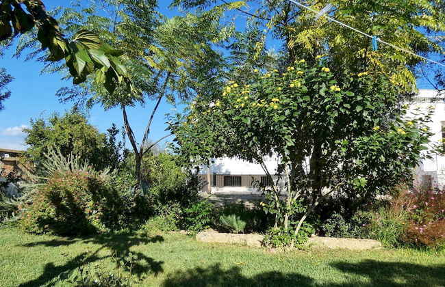 Residenza Arcangela - 4 Alloggi con 2 Piscine Private nel Salento - Fino a 20 Posti Letto - Foto 40