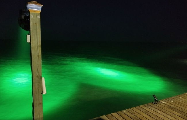 Little Cove Resort - Photo 8